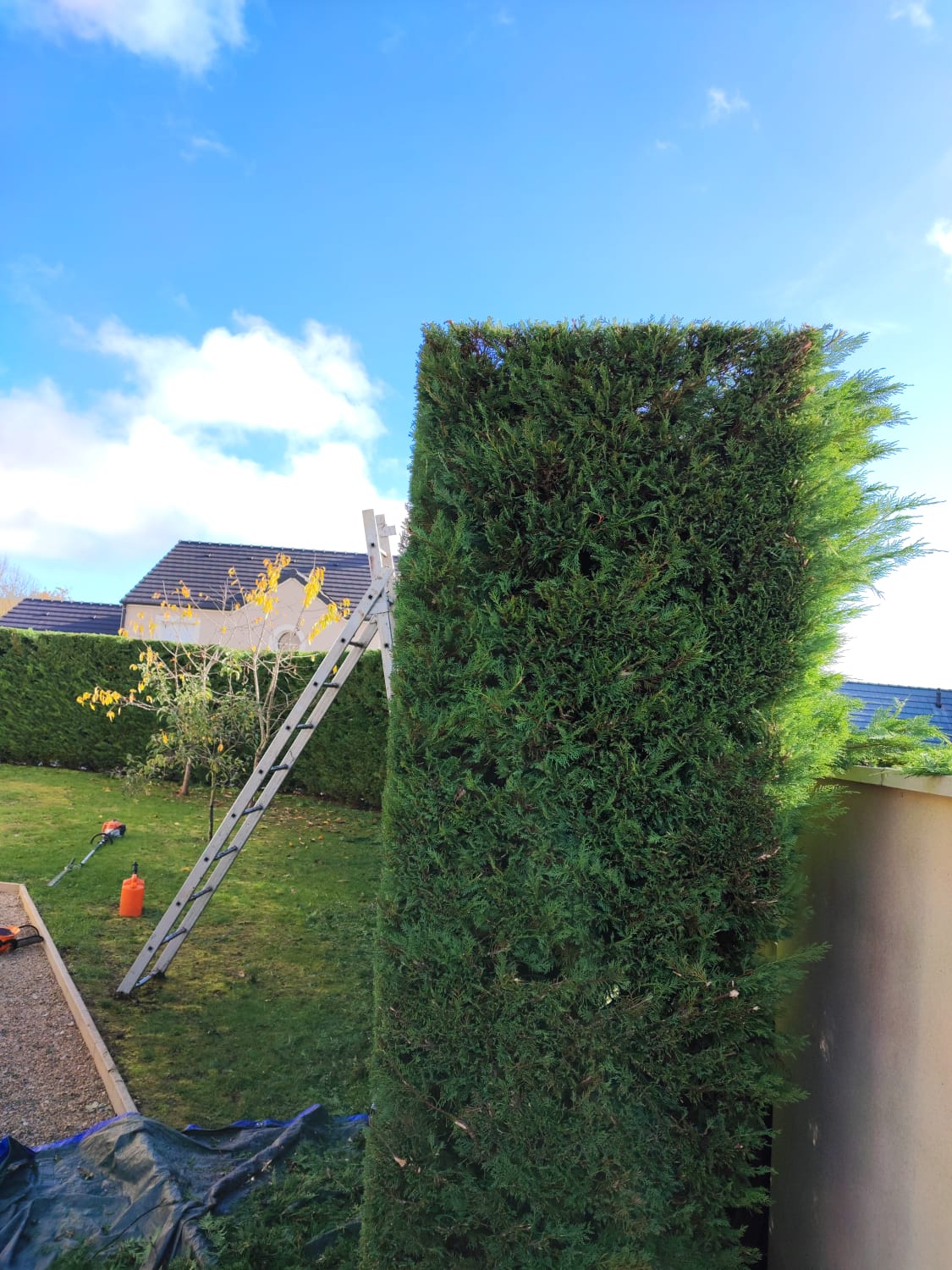 Photo de chantier 2 — Jackel Espaces Verts en Sarthe