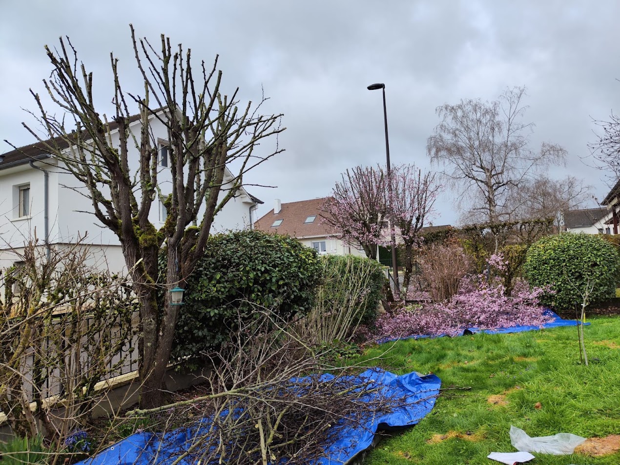 Photo de chantier 3 — Jackel Espaces Verts en Sarthe