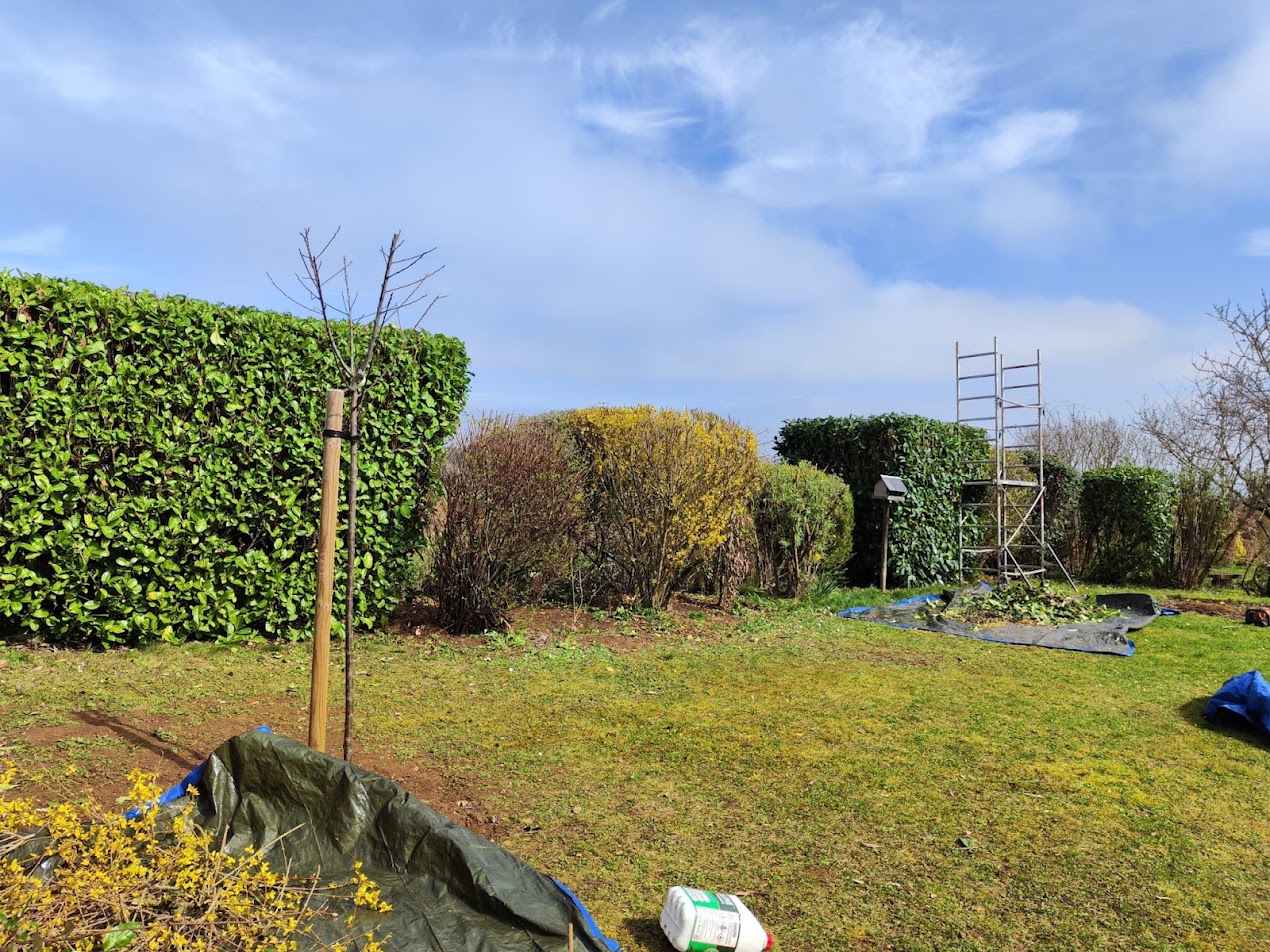 Photo de chantier 4 — Jackel Espaces Verts en Sarthe