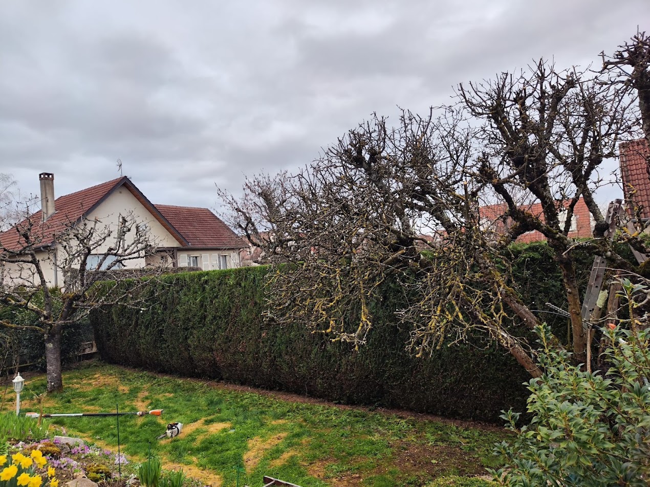 Photo de chantier 5 — Jackel Espaces Verts en Sarthe
