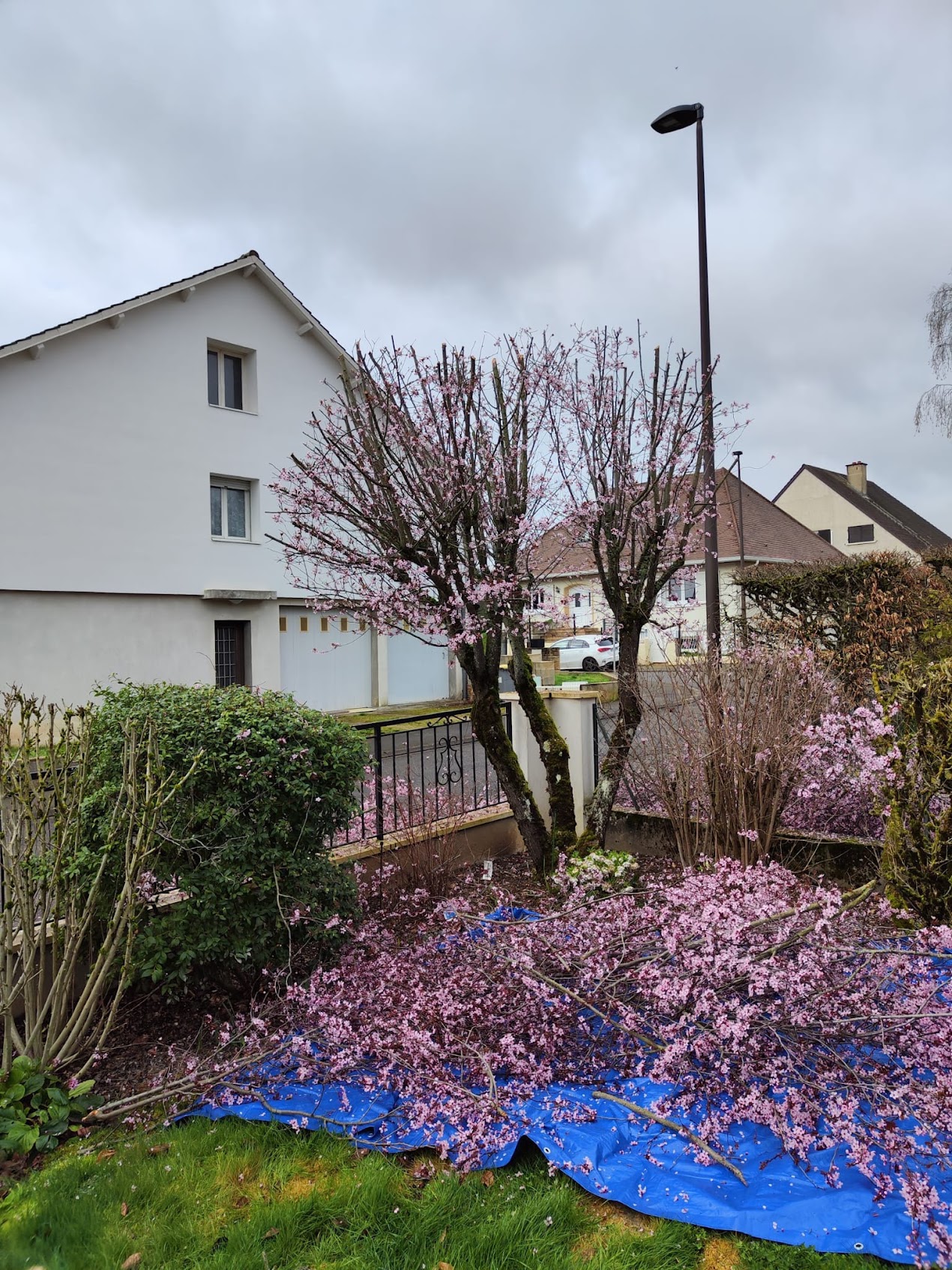 Photo de chantier 6 — Jackel Espaces Verts en Sarthe