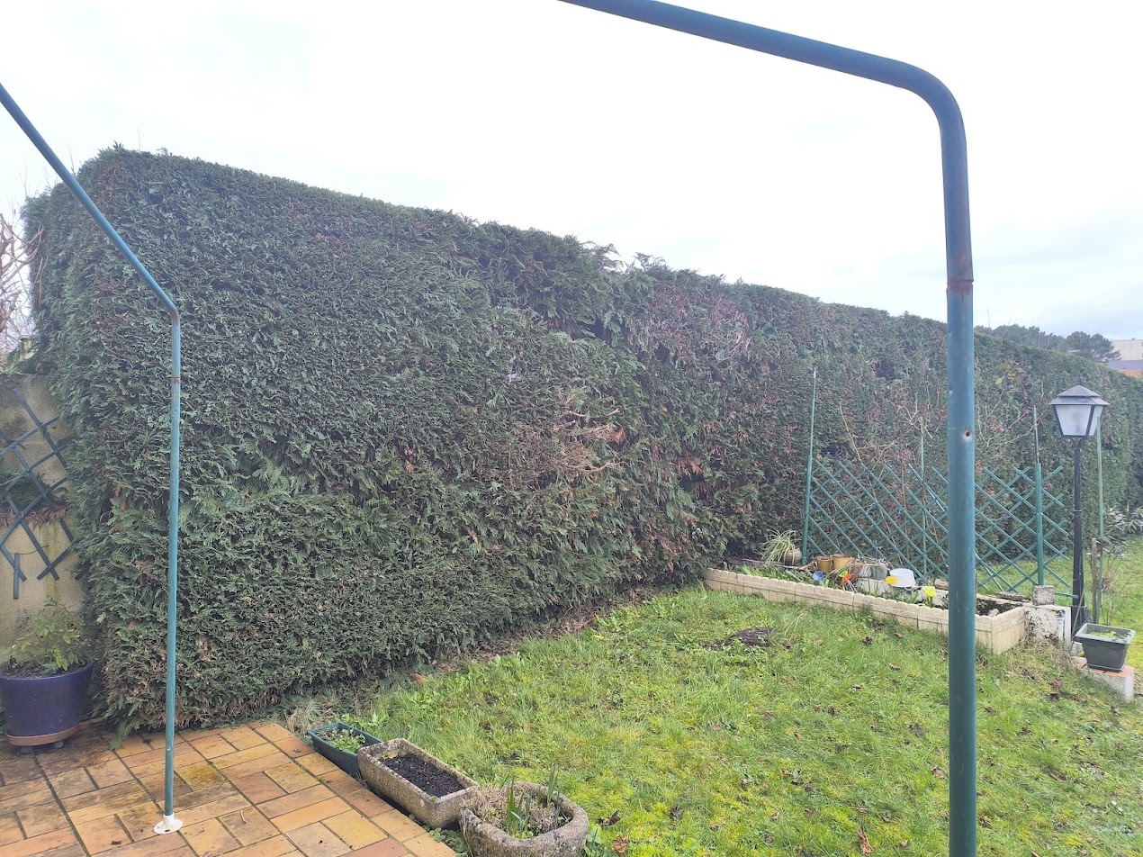 Photo de chantier 7 — Jackel Espaces Verts en Sarthe