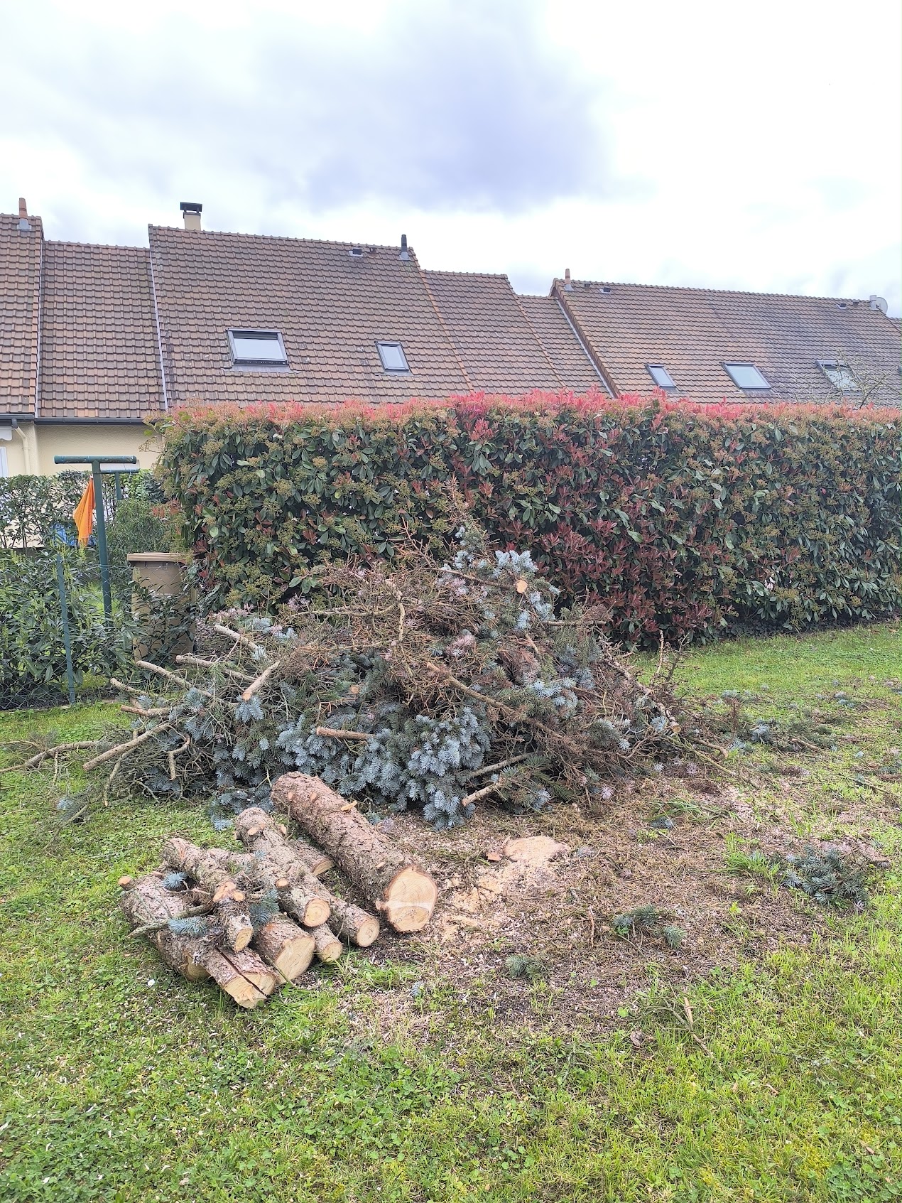 Photo de chantier 14 — Jackel Espaces Verts en Sarthe