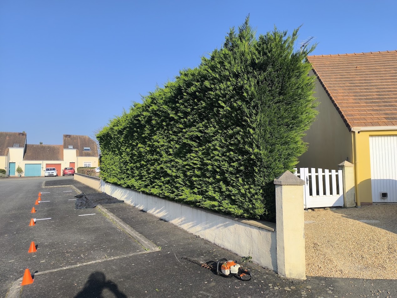 Photo de chantier 20 — Jackel Espaces Verts en Sarthe