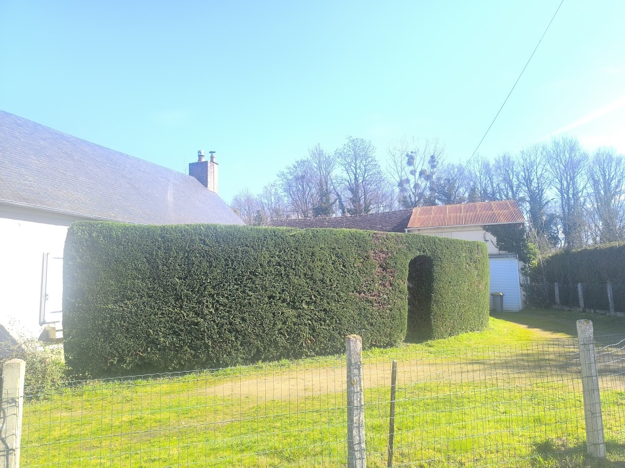Photo de chantier 21 — Jackel Espaces Verts en Sarthe