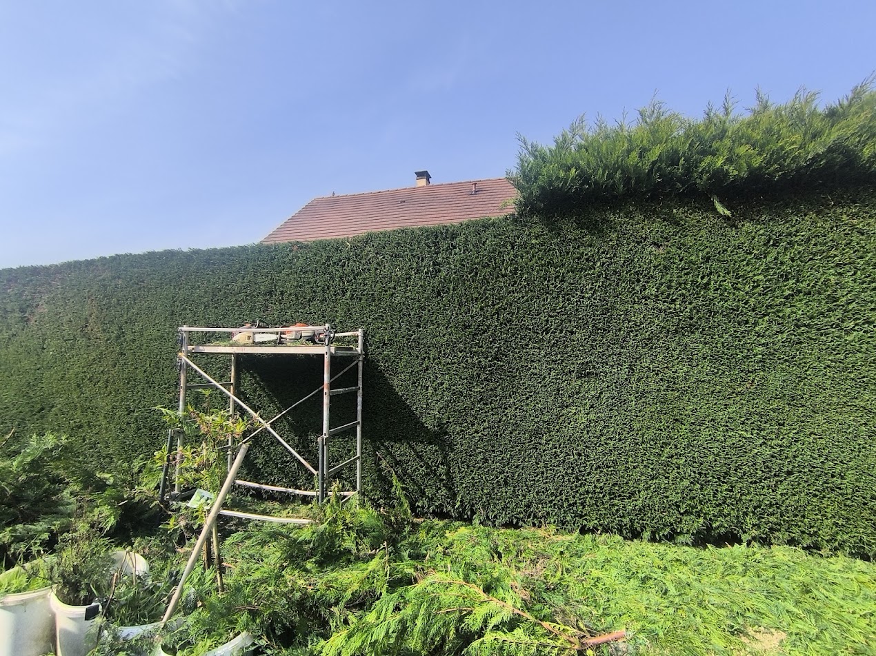 Photo de chantier 22 — Jackel Espaces Verts en Sarthe
