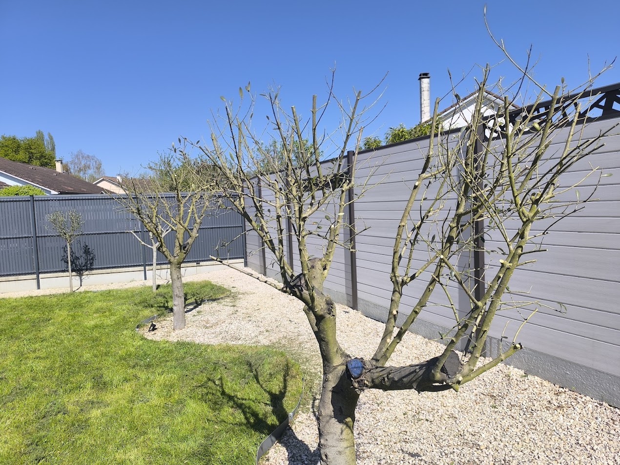 Photo de chantier 27 — Jackel Espaces Verts en Sarthe