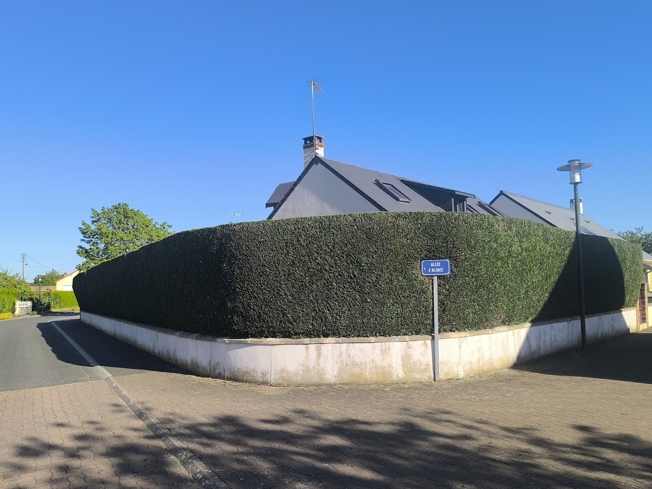 Photo de chantier 28 — Jackel Espaces Verts en Sarthe