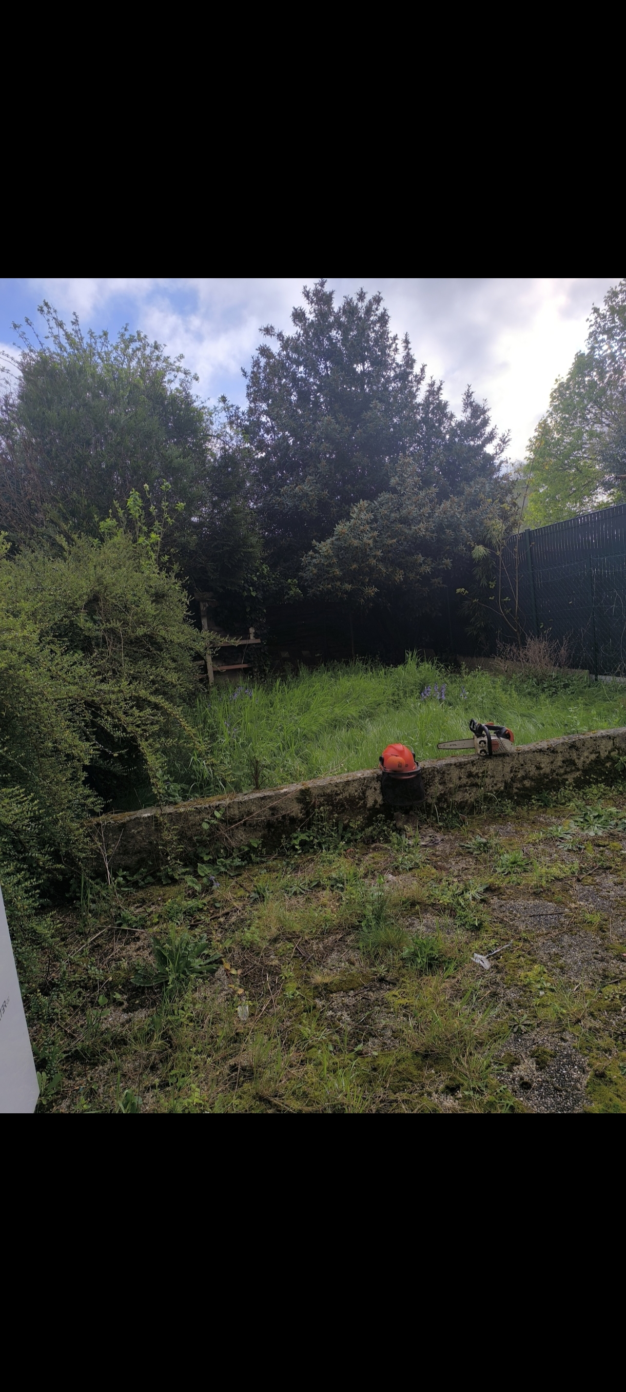 Photo de chantier 29 — Jackel Espaces Verts en Sarthe