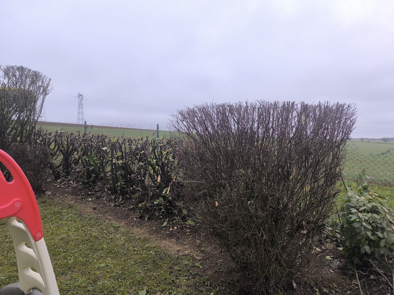 Photo de chantier 32 — Jackel Espaces Verts en Sarthe