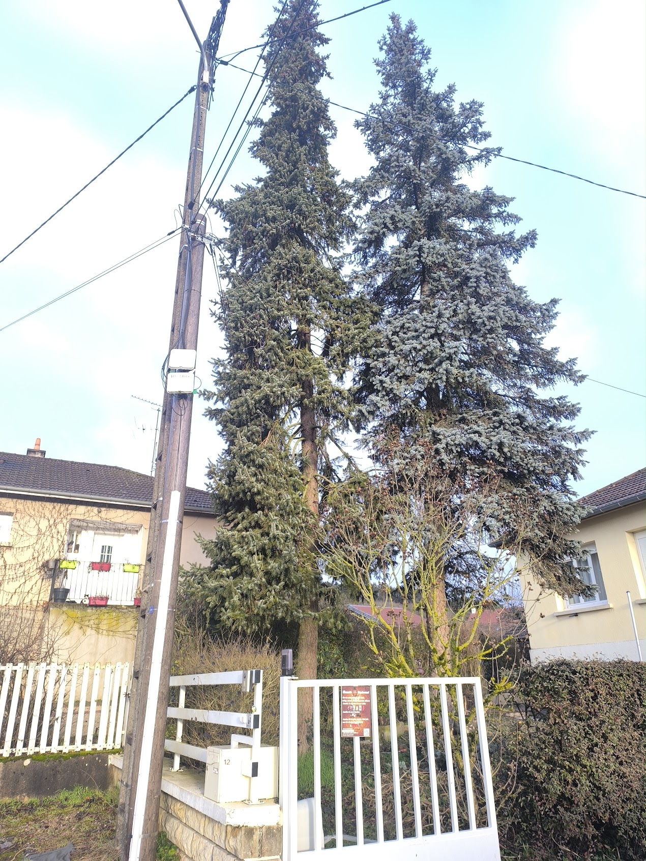 Photo de chantier 33 — Jackel Espaces Verts en Sarthe