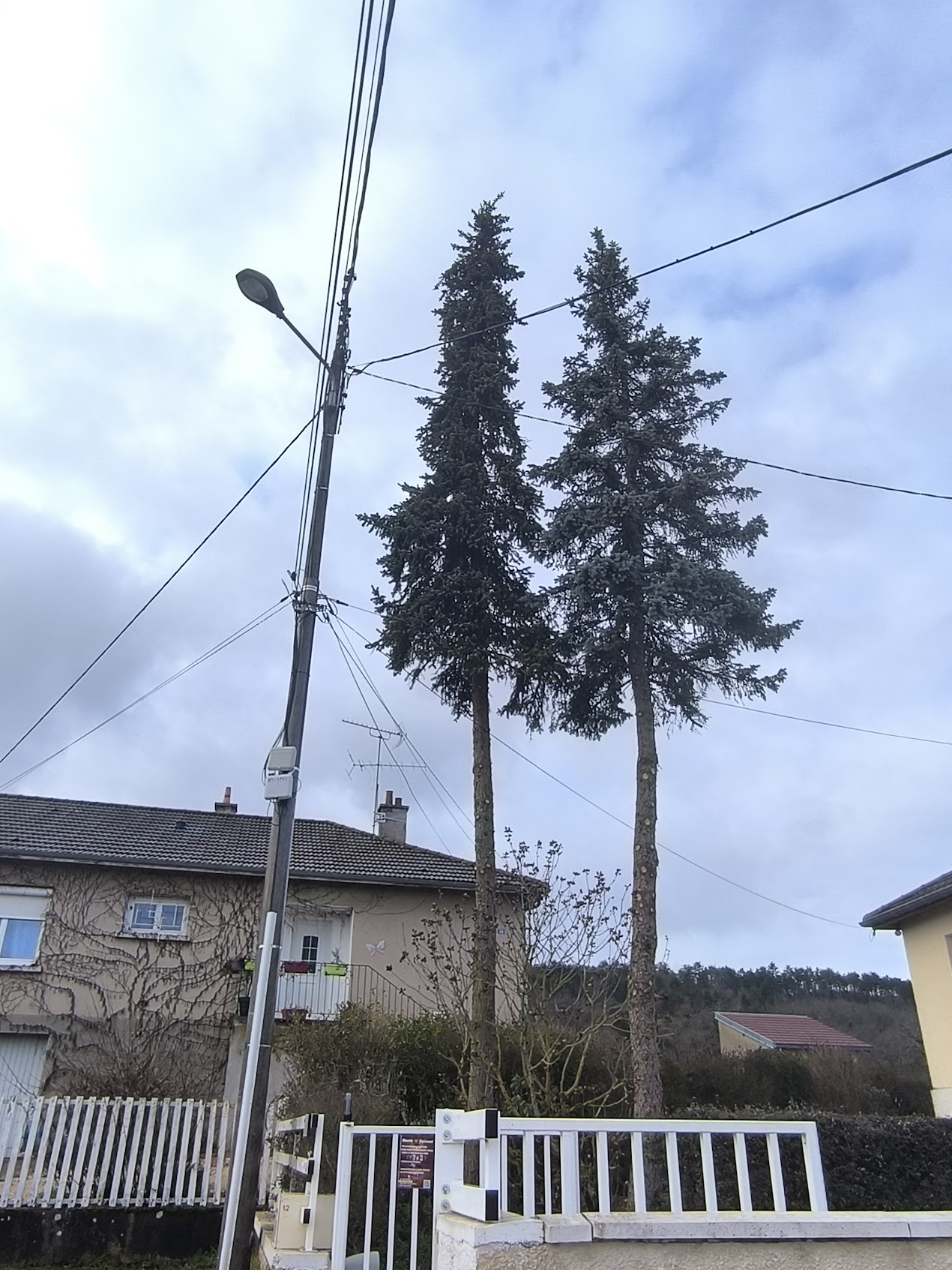Photo de chantier 35 — Jackel Espaces Verts en Sarthe