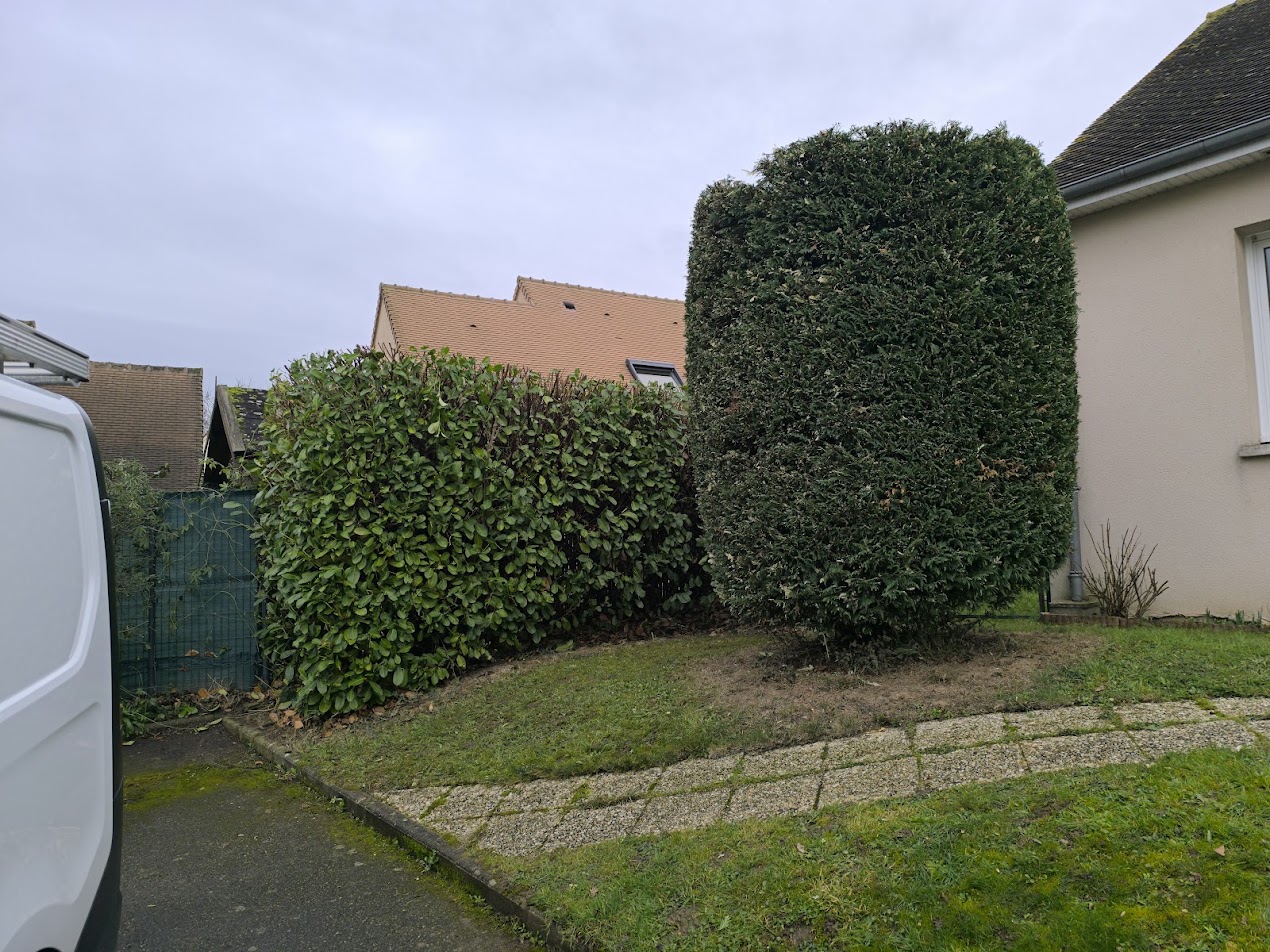 Photo de chantier 36 — Jackel Espaces Verts en Sarthe