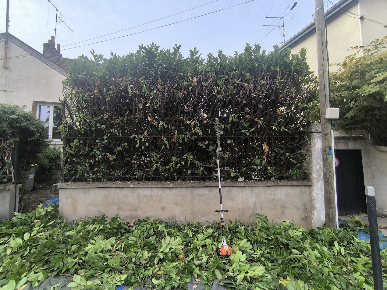 Photo de chantier 38 — Jackel Espaces Verts en Sarthe
