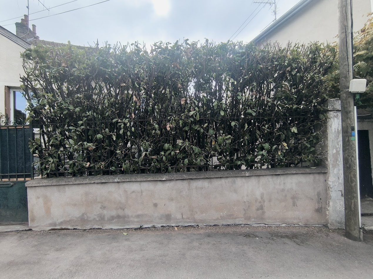 Photo de chantier 40 — Jackel Espaces Verts en Sarthe