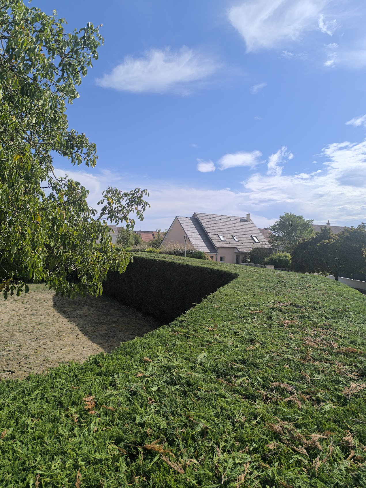 Photo de chantier 41 — Jackel Espaces Verts en Sarthe