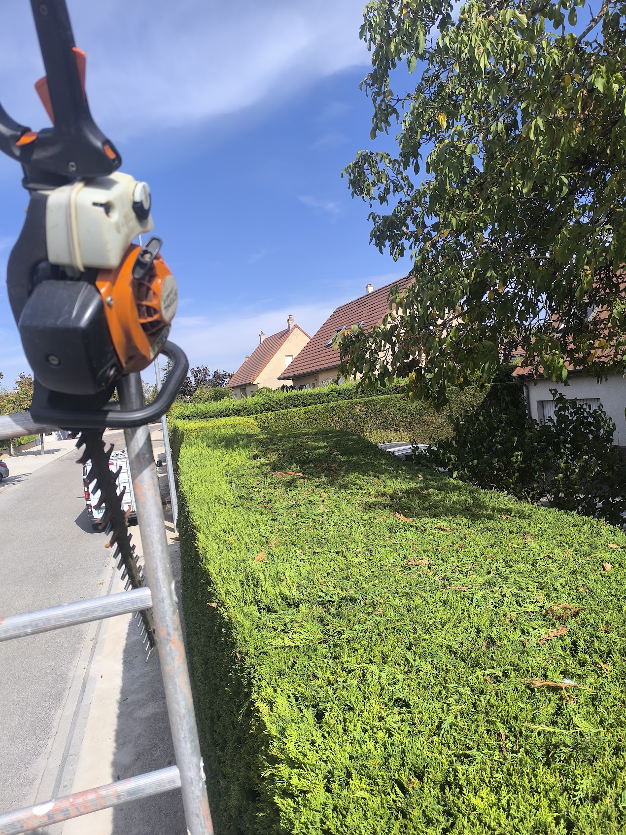 Photo de chantier 42 — Jackel Espaces Verts en Sarthe