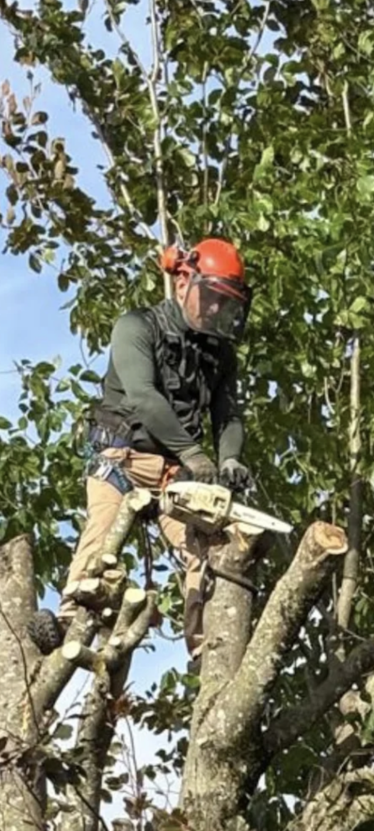 Photo de chantier 44 — Jackel Espaces Verts en Sarthe