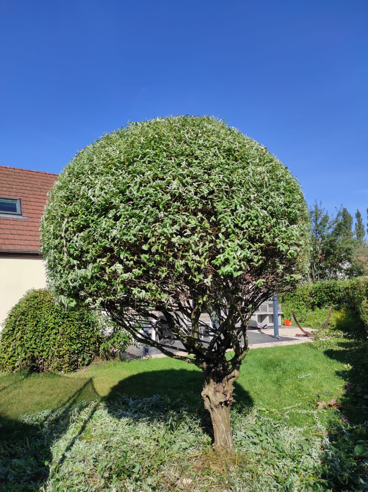 Photo de chantier 45 — Jackel Espaces Verts en Sarthe