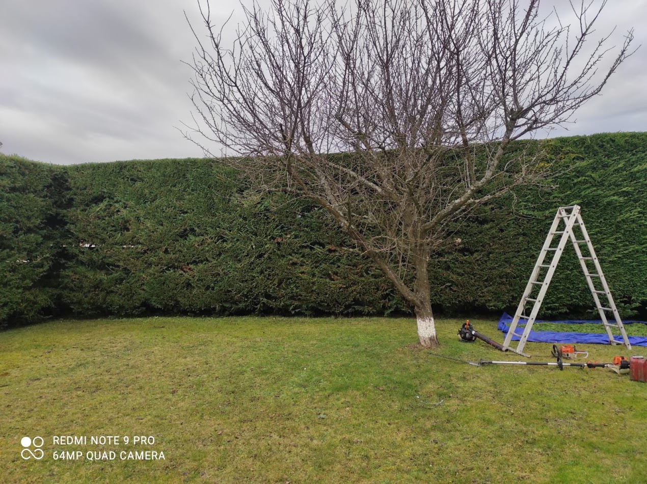 Photo de chantier 46 — Jackel Espaces Verts en Sarthe