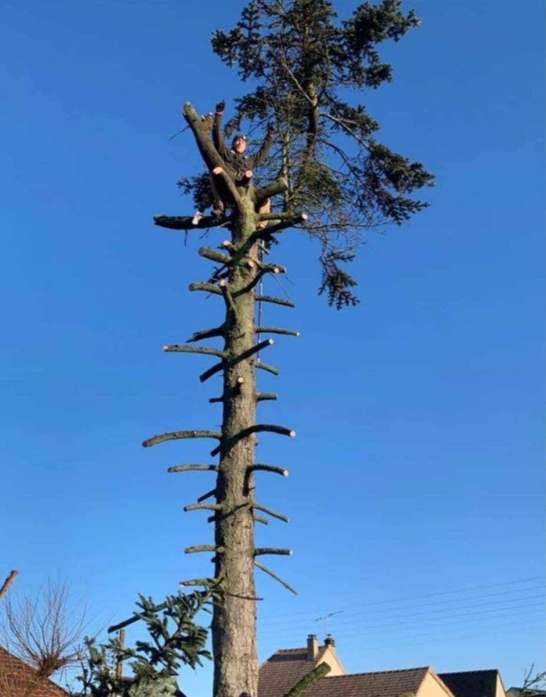 Photo de chantier 48 — Jackel Espaces Verts en Sarthe