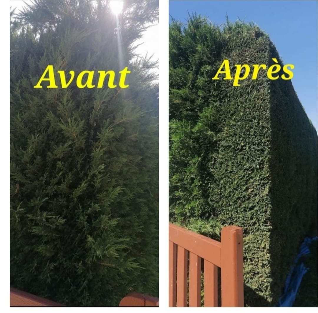 Photo de chantier 50 — Jackel Espaces Verts en Sarthe