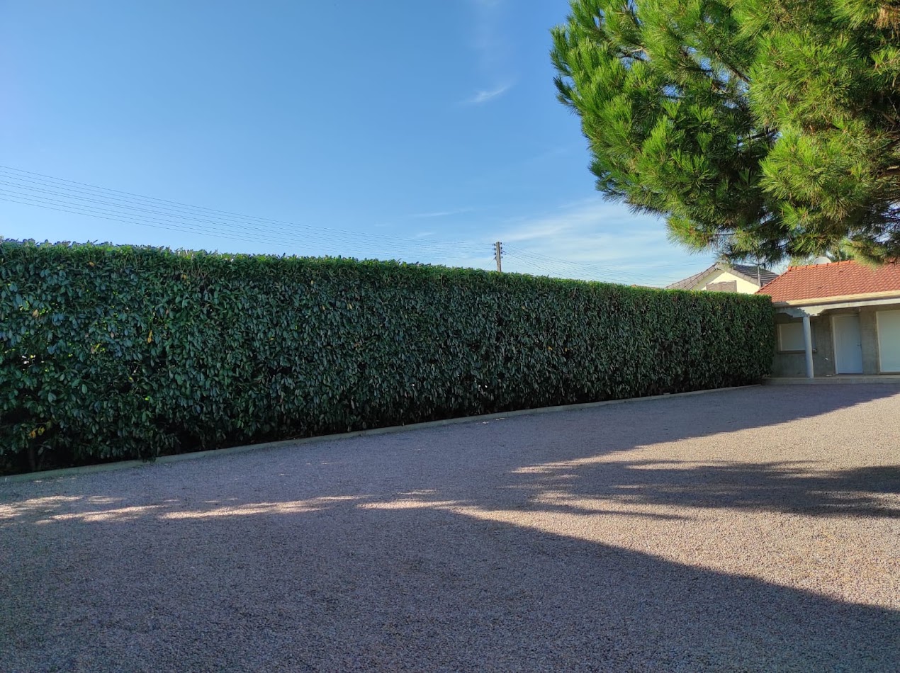 Photo de chantier 52 — Jackel Espaces Verts en Sarthe