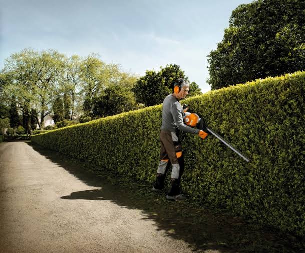 Haie taillée dans un jardin au Mans