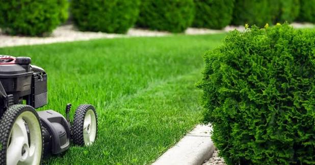 Entretien d’un jardin et de sa pelouse au Mans